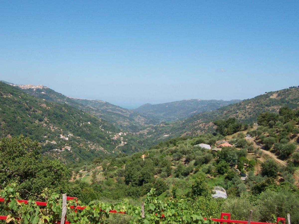 Agriturismo Don Cesarino Contura Bagian luar foto