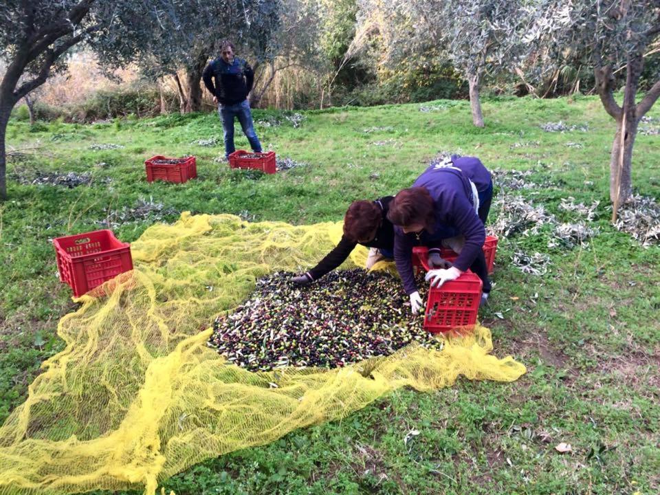 Agriturismo Don Cesarino Contura Bagian luar foto